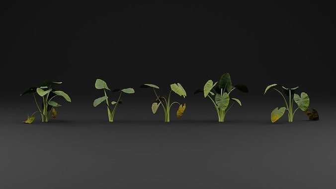 Golevez Plant 3D model