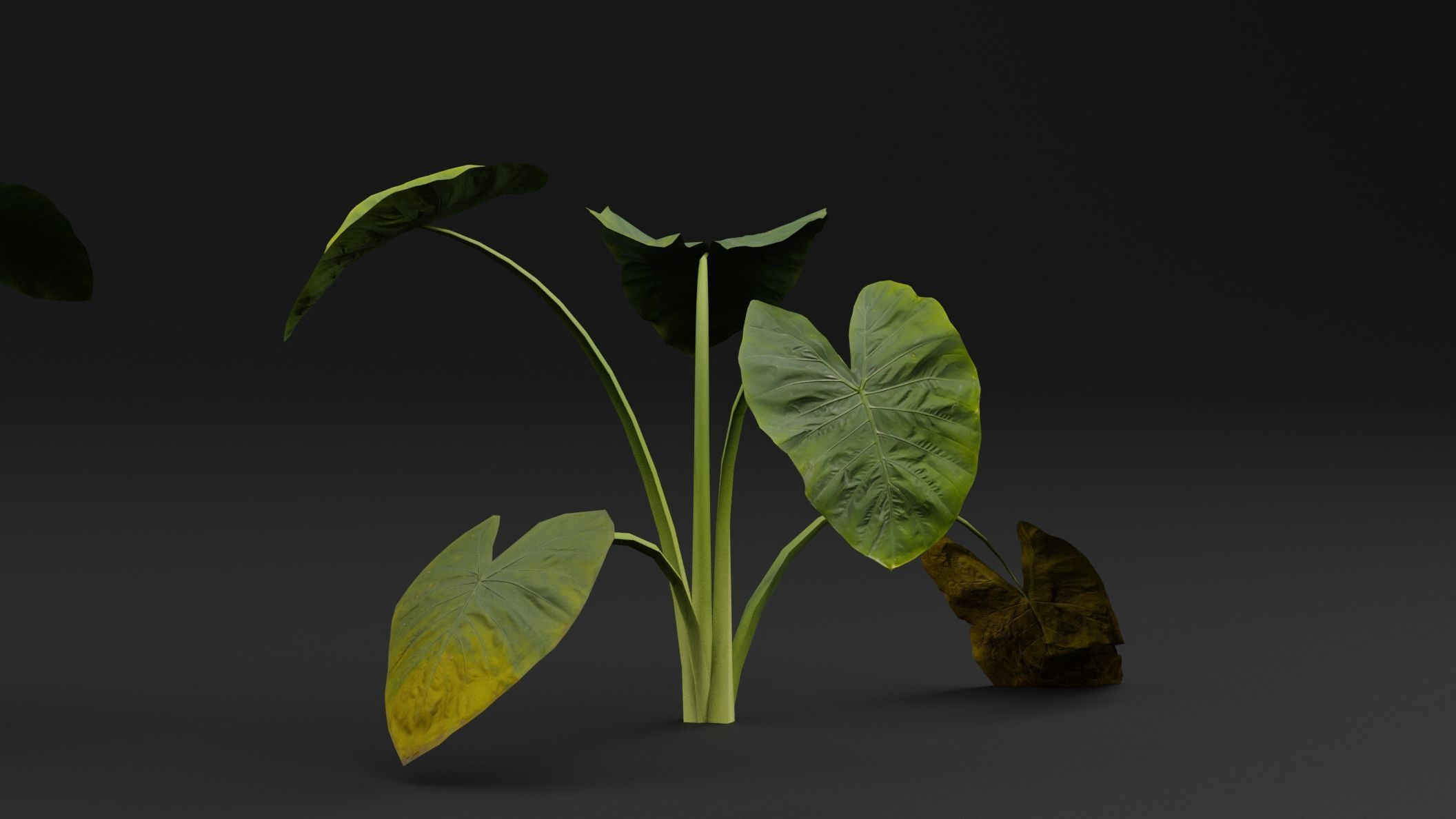 Golevez Plant 3D model_0