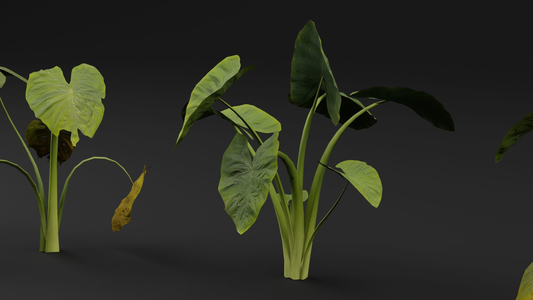Golevez Plant 3D model_2
