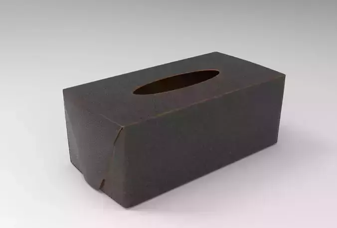 Zeis Storage Box