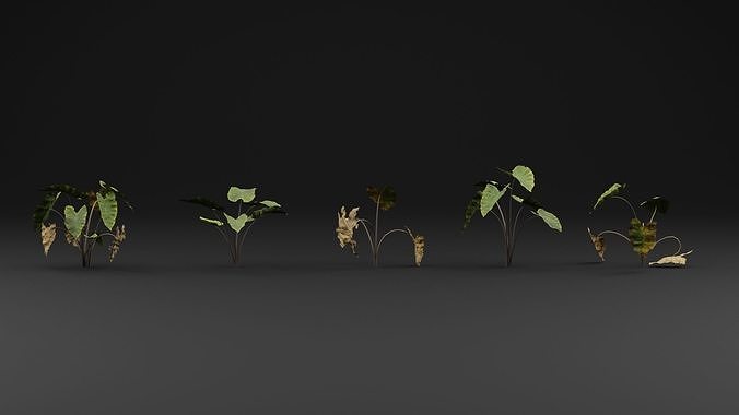 Golevez Plant 3D model