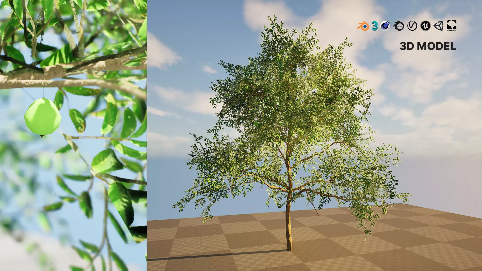 Game-Ready Guava Tree with Free Tutorial Low-poly 3D model