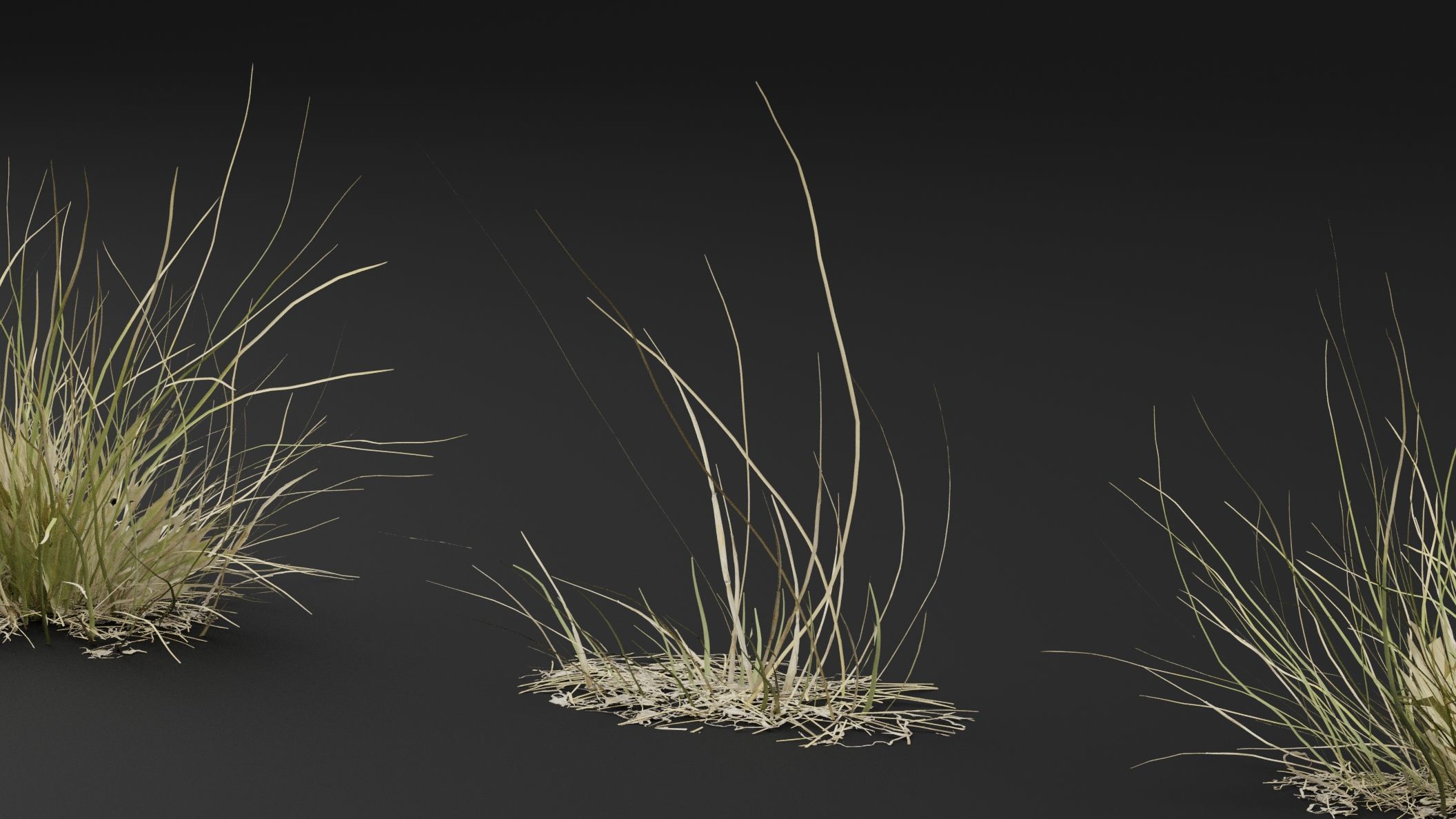 Grass Plant 3D model_2