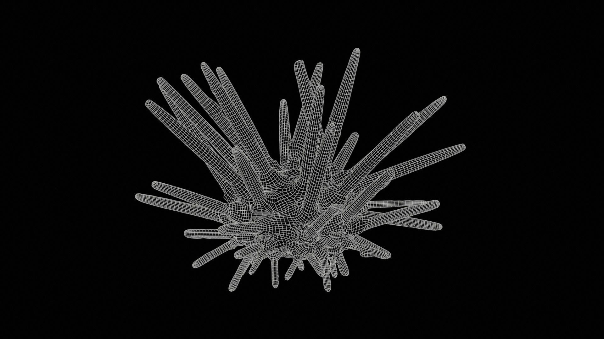 Lance Urchin Phyllacanthus Imperialis Low-poly 3D model_11