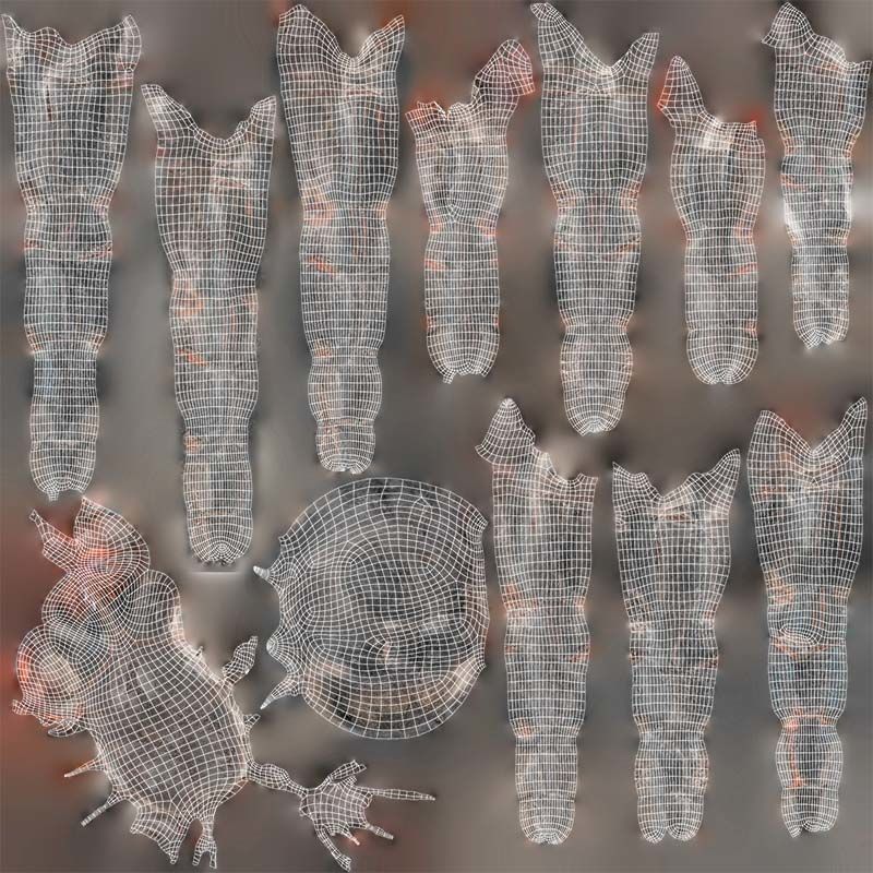 Opelma Minax Spider Tarantula Low-poly 3D model_14