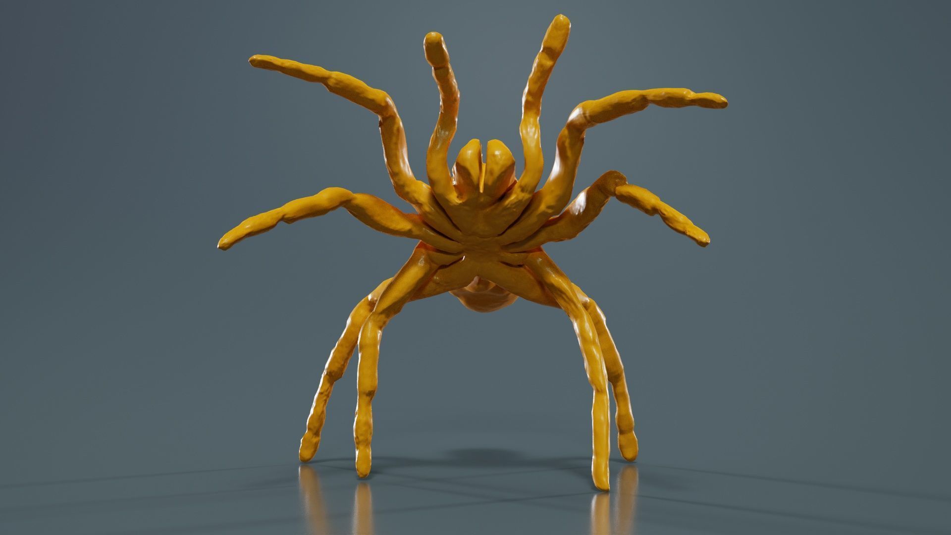 Opelma Minax Spider Tarantula Low-poly 3D model_12