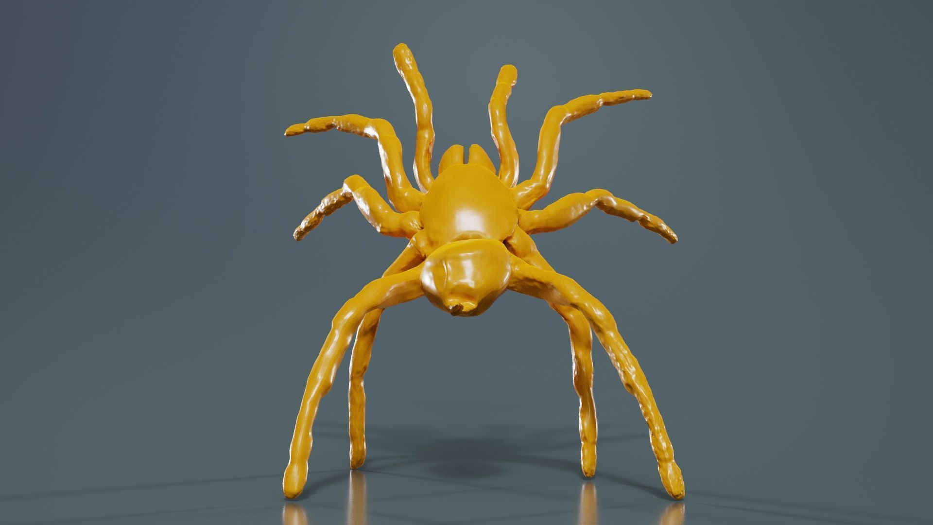 Opelma Minax Spider Tarantula Low-poly 3D model_13