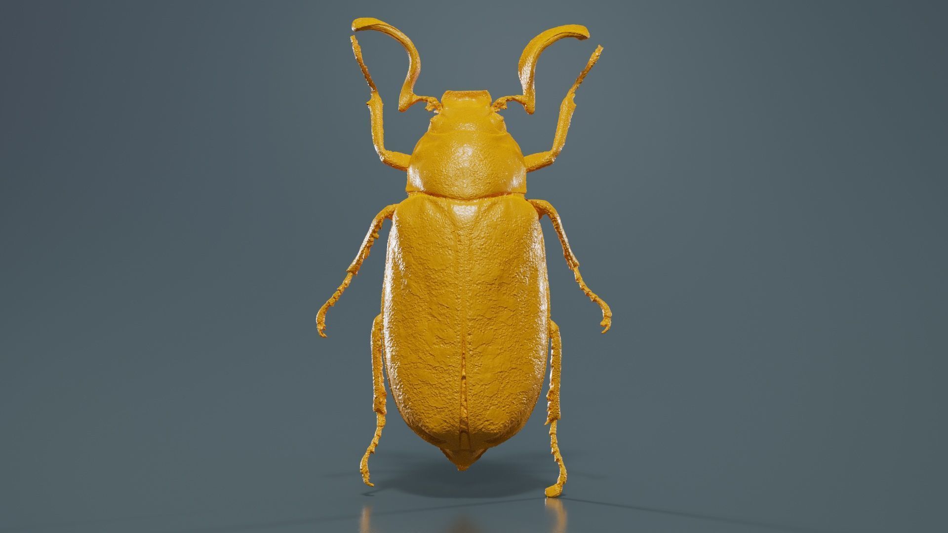 Phyllophaga Greek July Beatle Low-poly 3D model_12