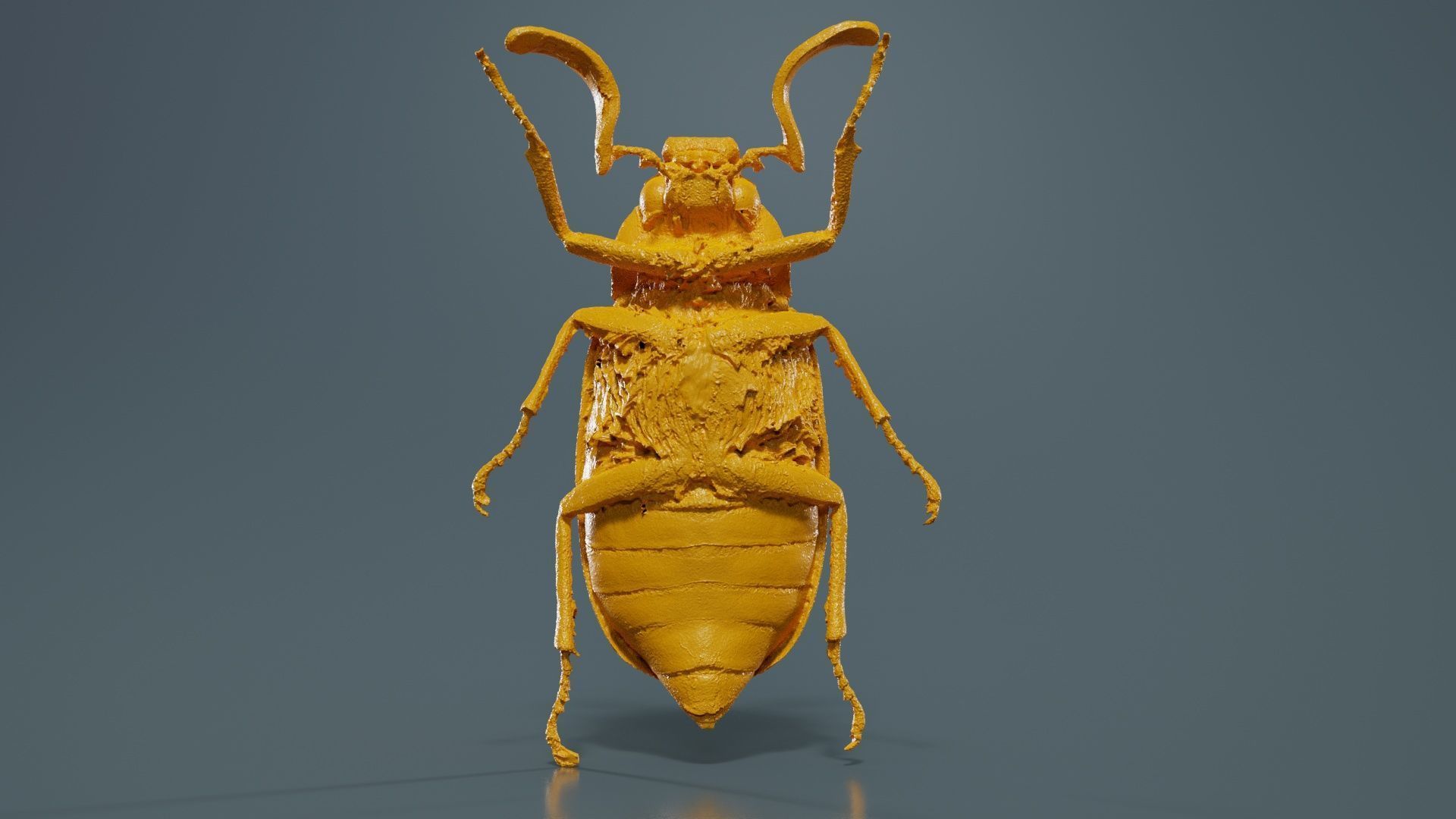 Phyllophaga Greek July Beatle Low-poly 3D model_13