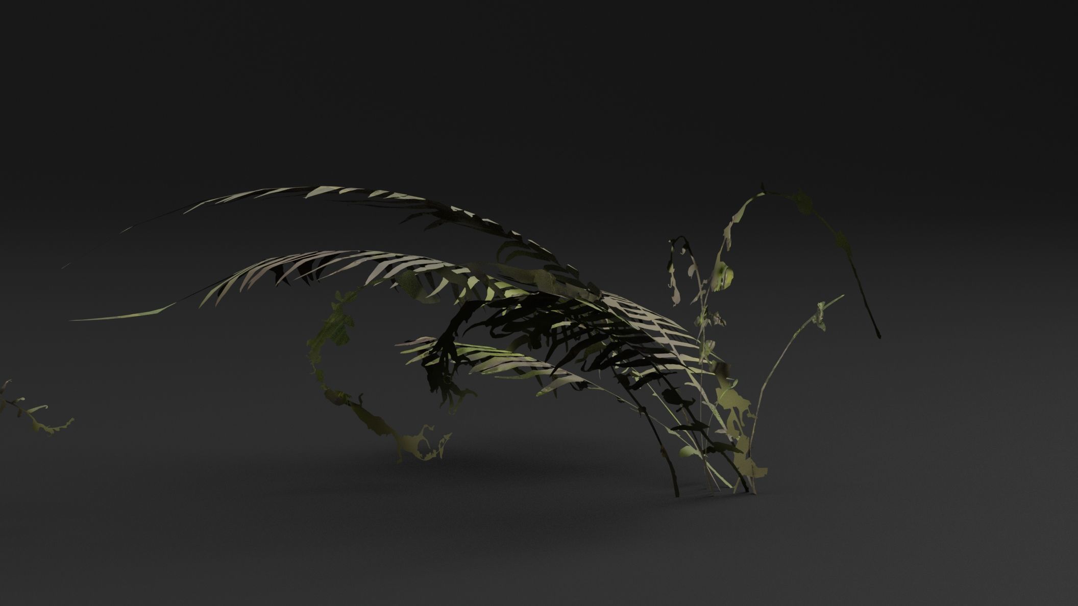 Fern Plant 3D model_3