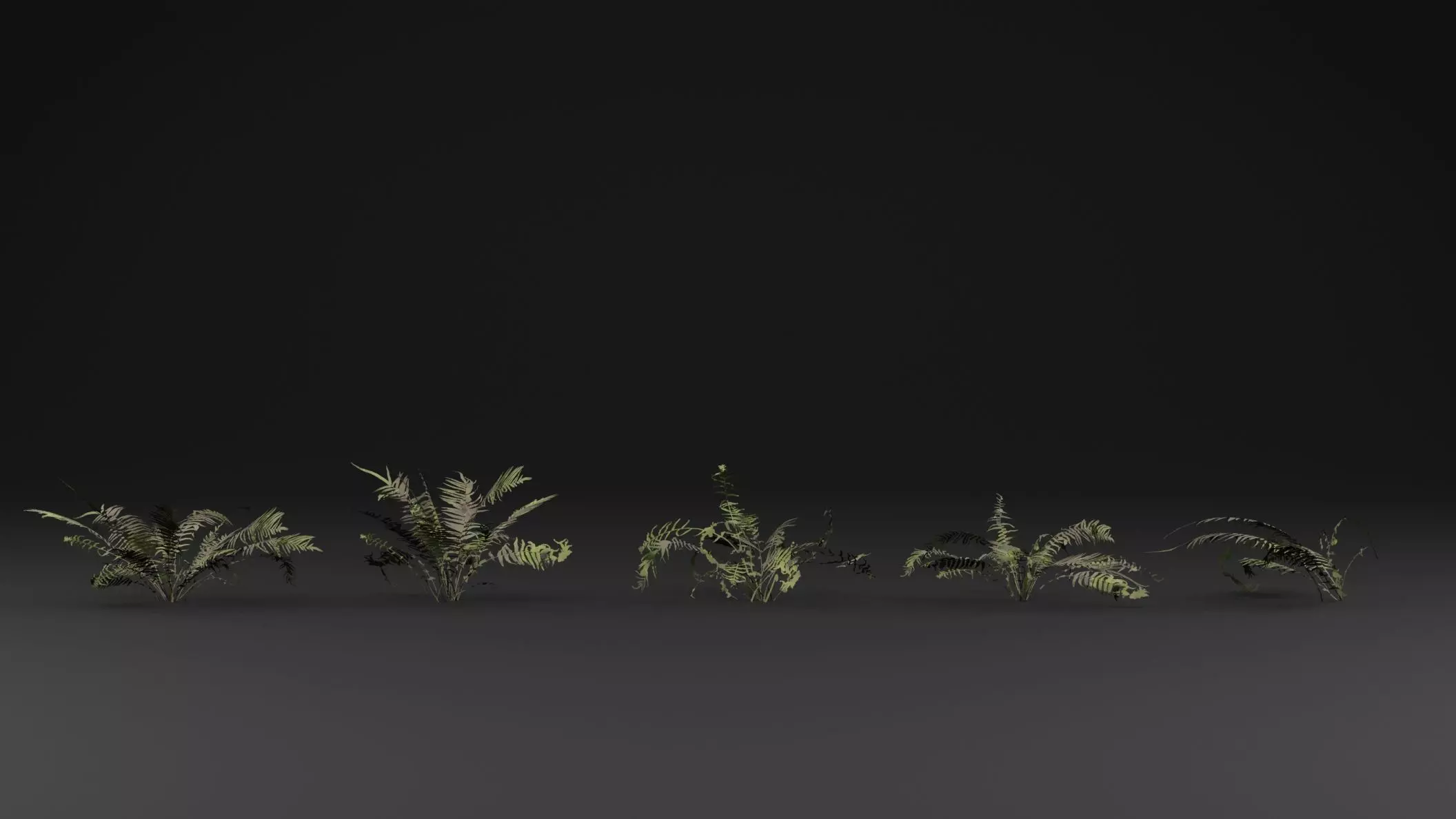 Fern Plant 3D model_1