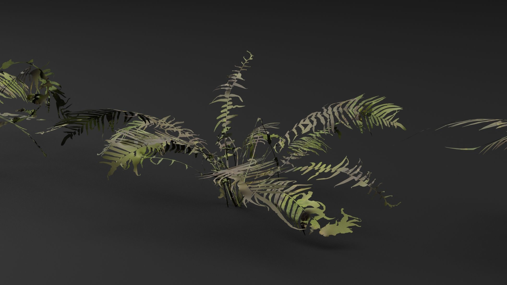 Fern Plant 3D model_2