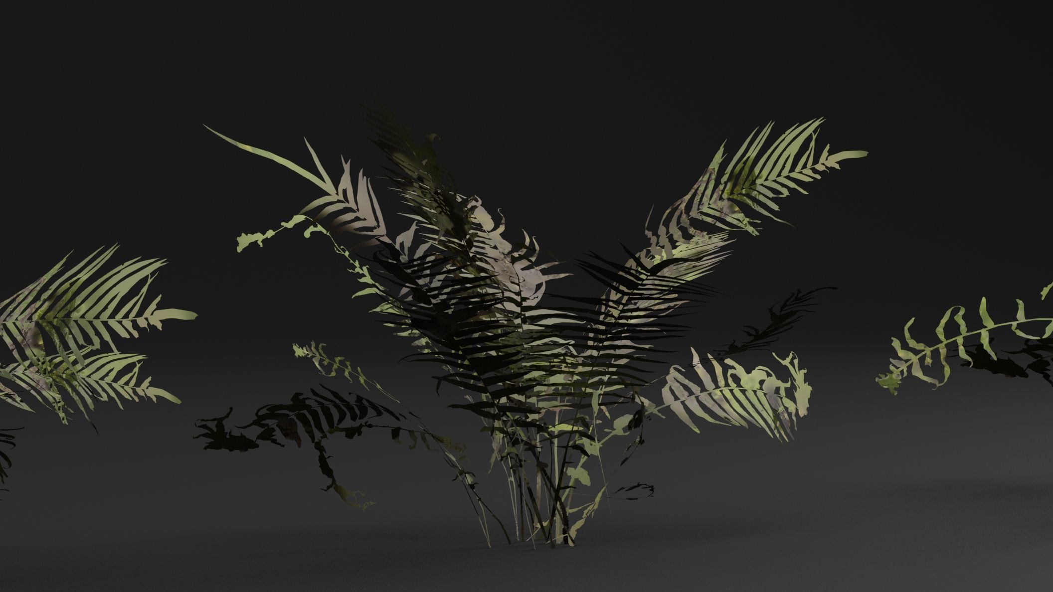 Fern Plant 3D model_4