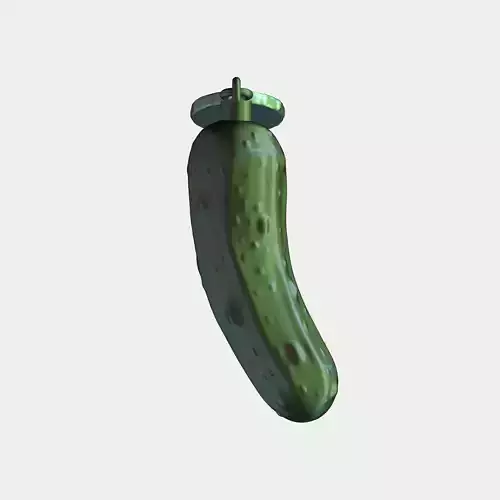 Christmas Tree Pickle ornament 3D print model