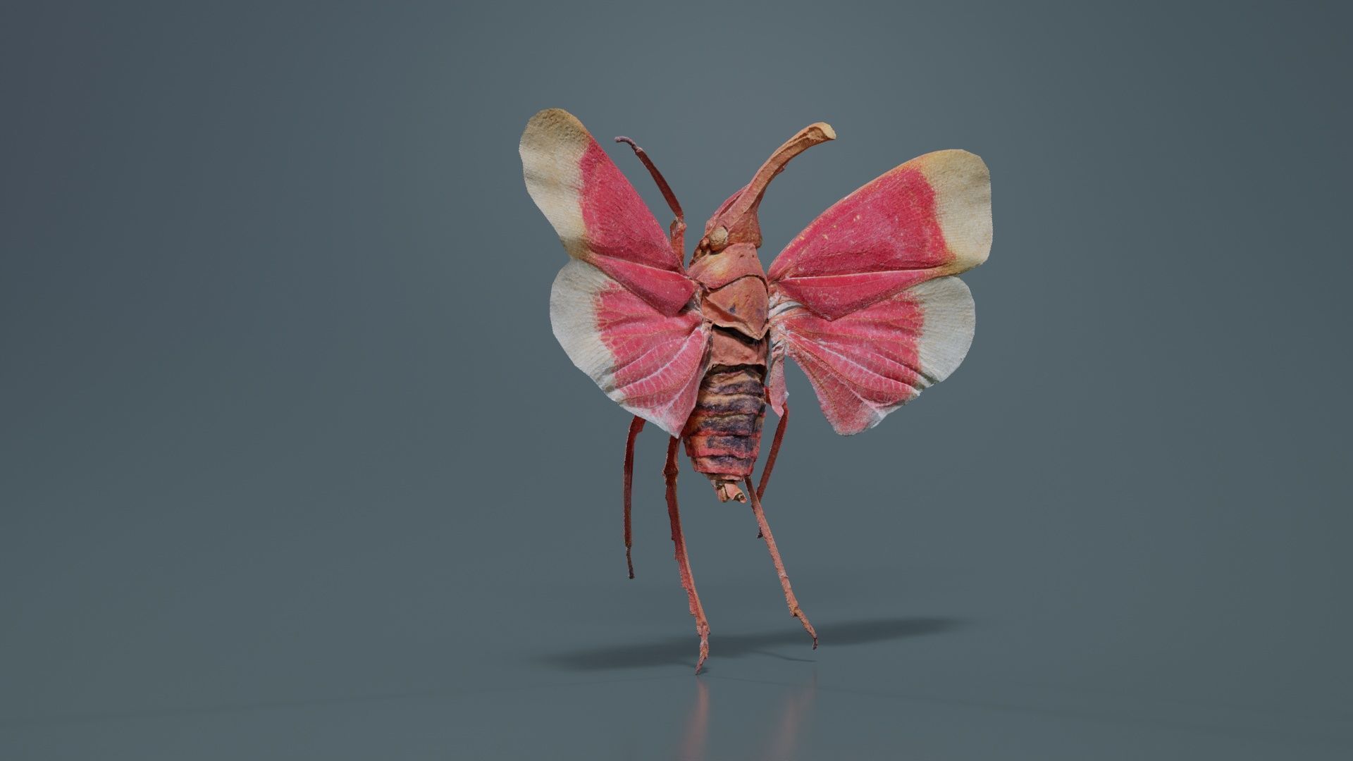 Pyrops Hamdjahi Peleng Low-poly 3D model_1