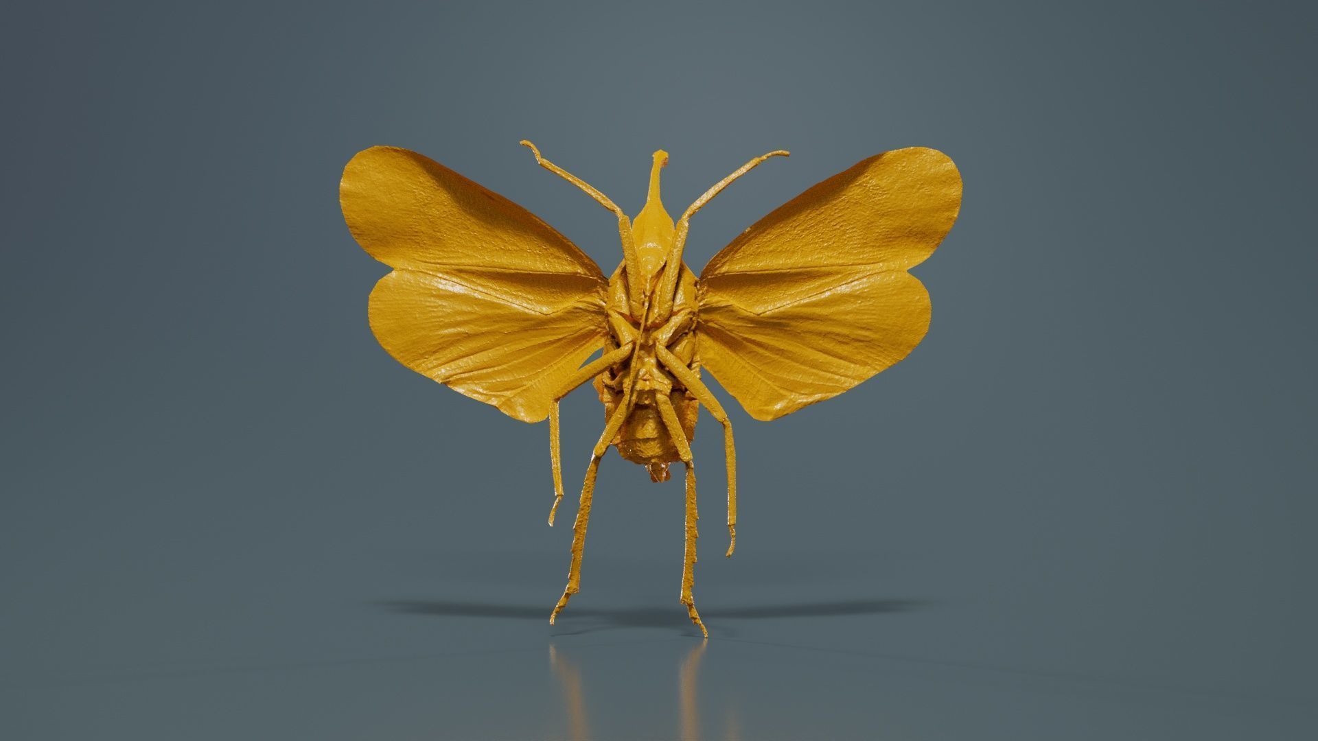 Pyrops Hamdjahi Peleng Low-poly 3D model_13