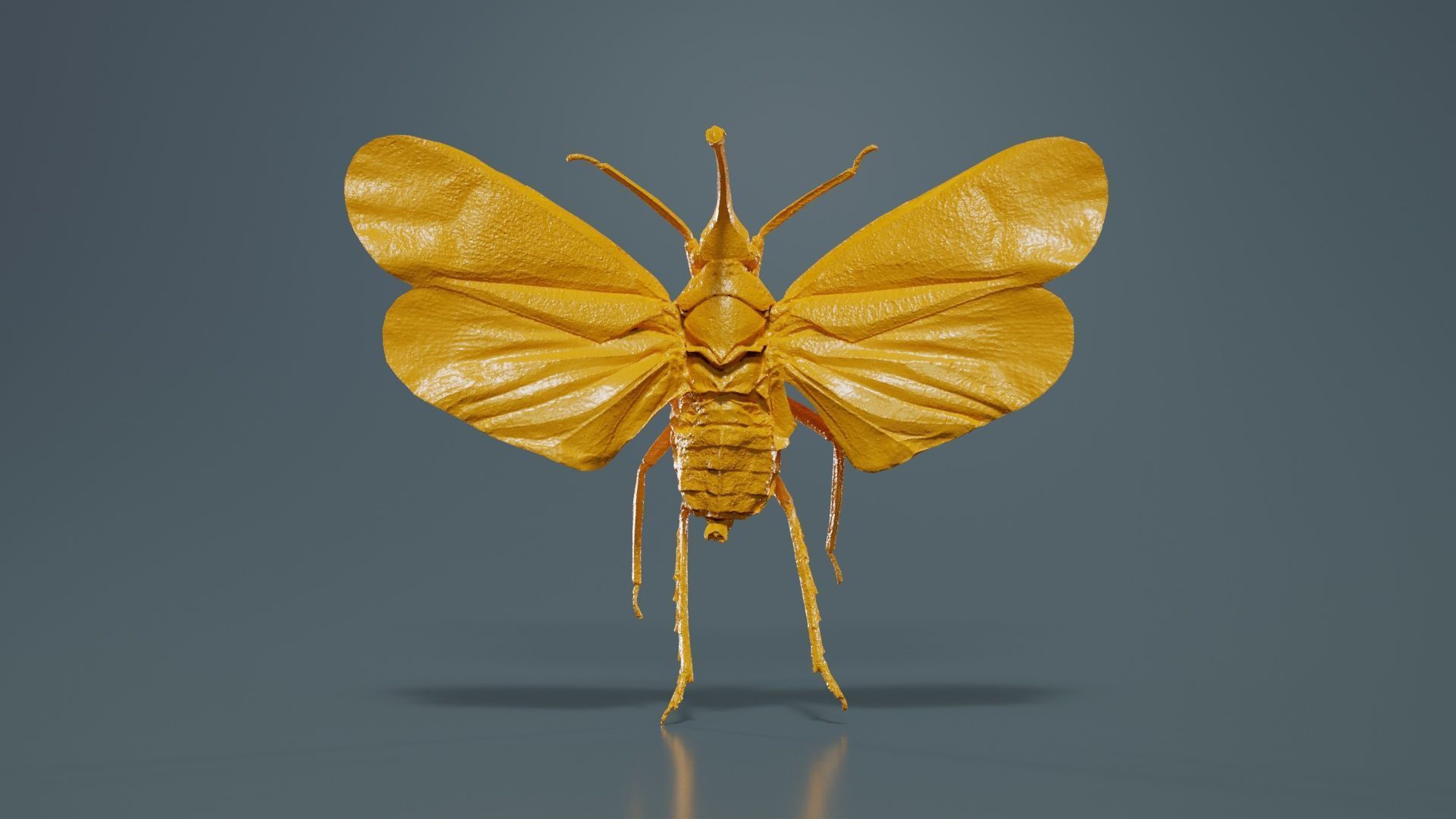 Pyrops Hamdjahi Peleng Low-poly 3D model_12
