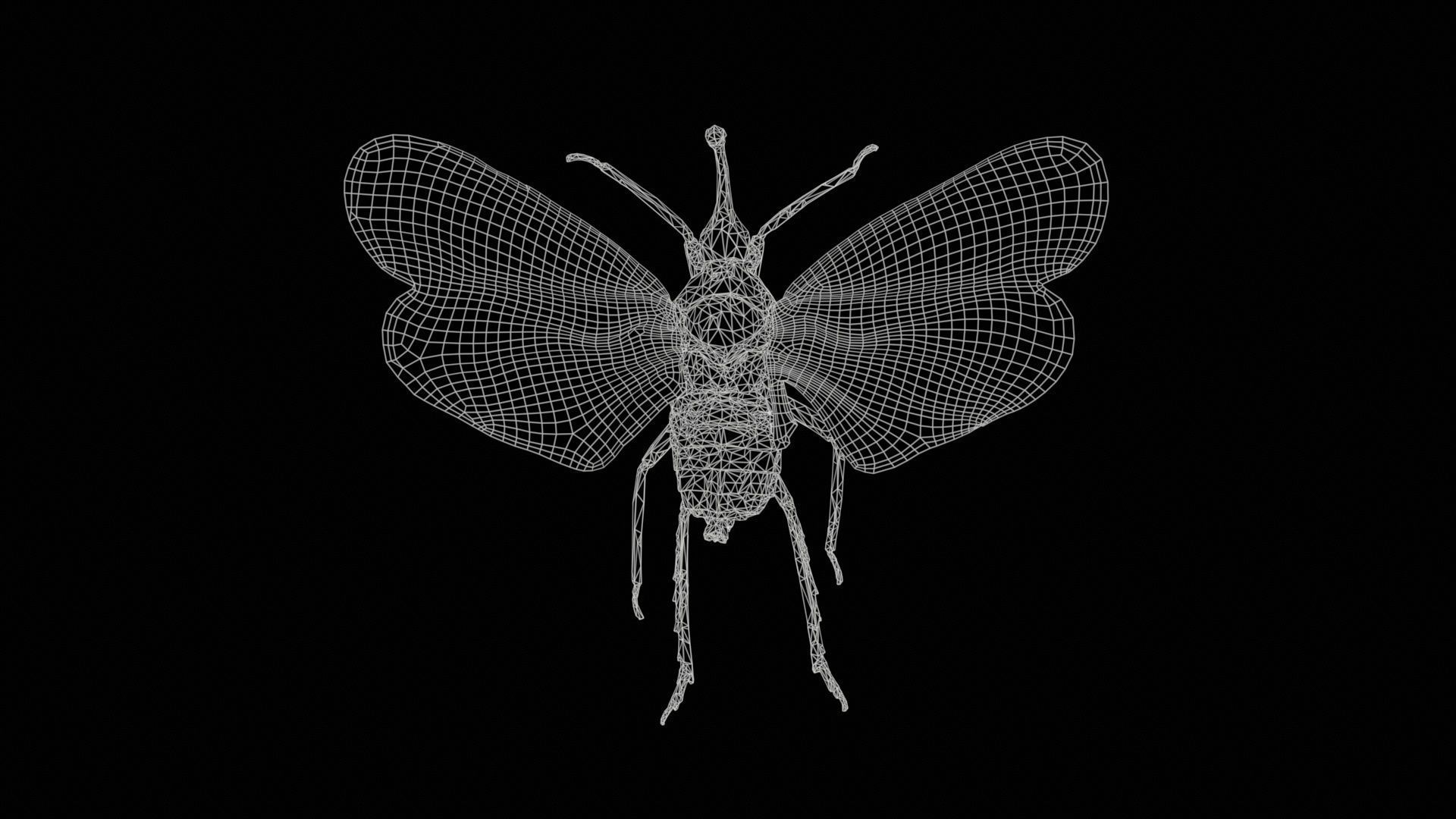 Pyrops Hamdjahi Peleng Low-poly 3D model_11