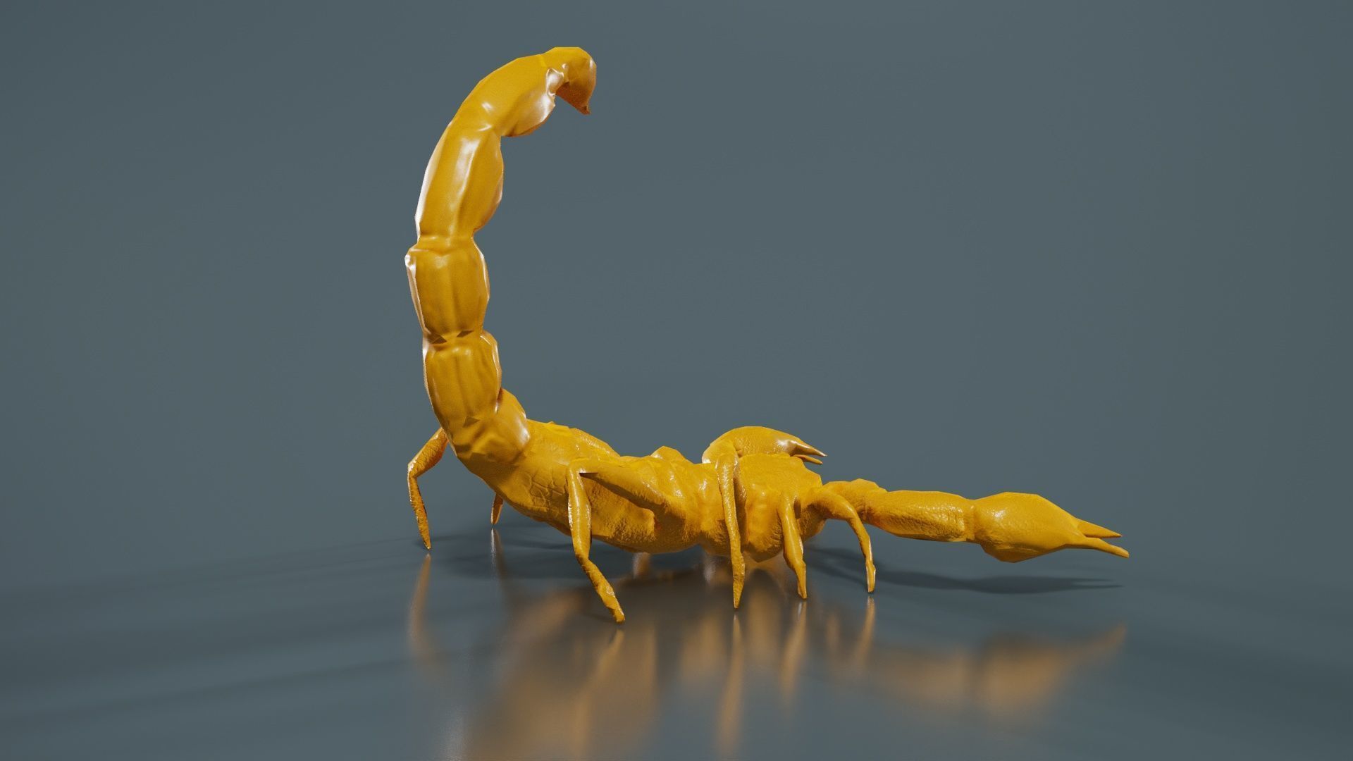 Scorpio Maurus Palmatus Scorpion Low-poly 3D model_13