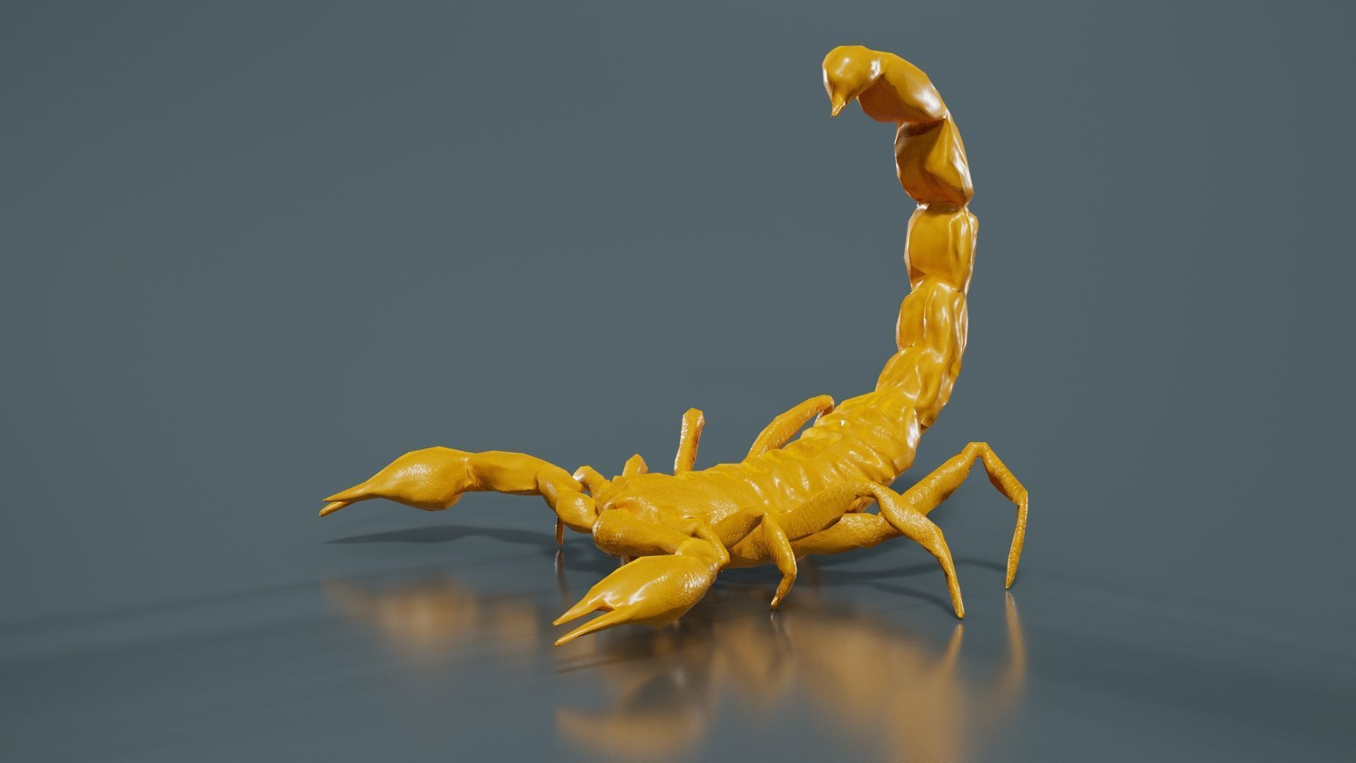 Scorpio Maurus Palmatus Scorpion Low-poly 3D model_12