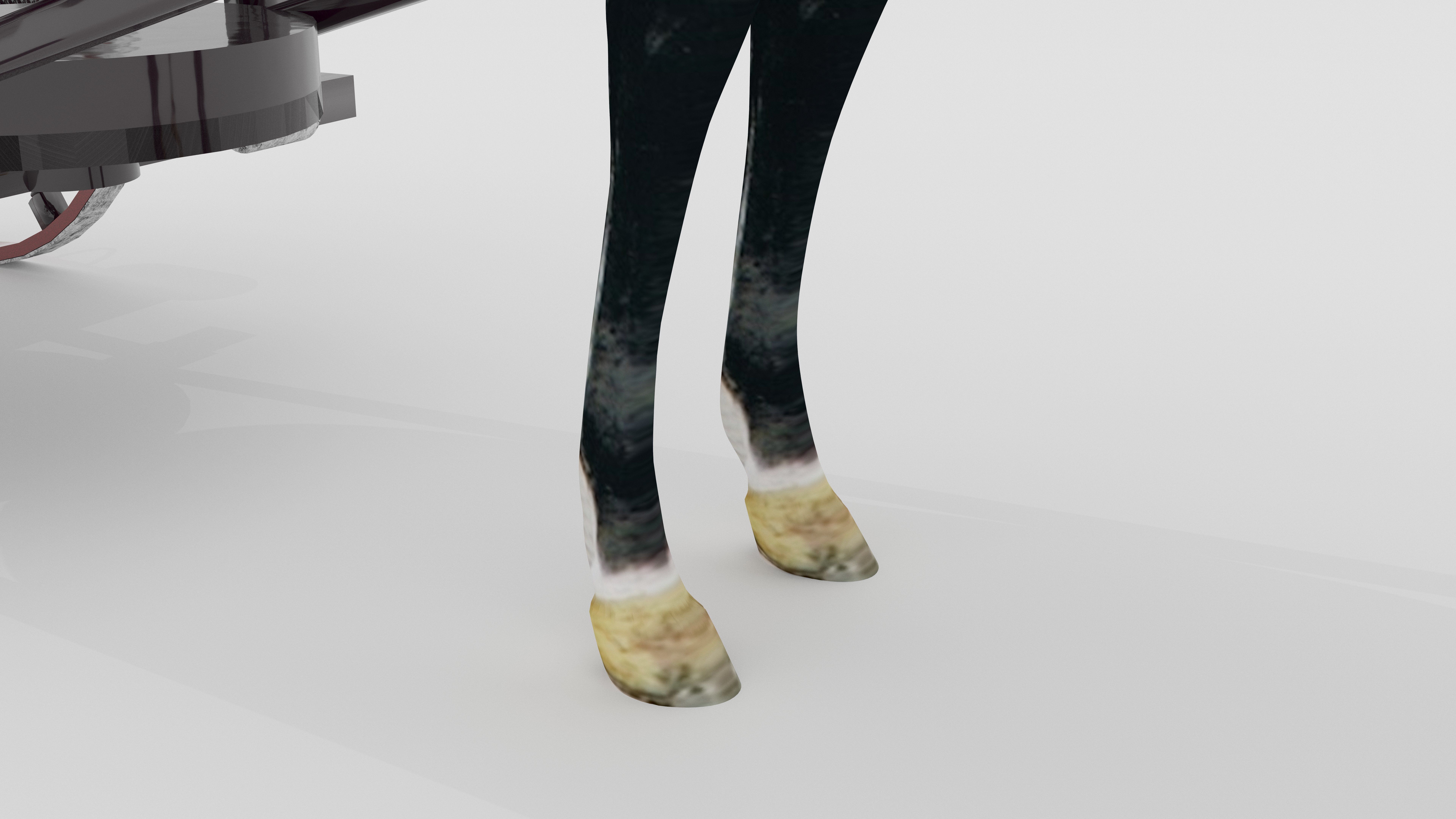 Race Chariot 3D model_8