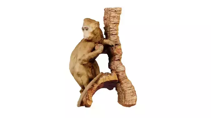 Babboon Papio Low-poly 3D model