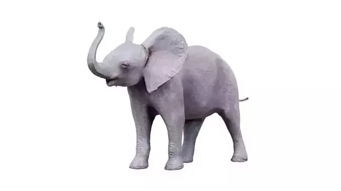 Baby Elephant Low-poly 3D model