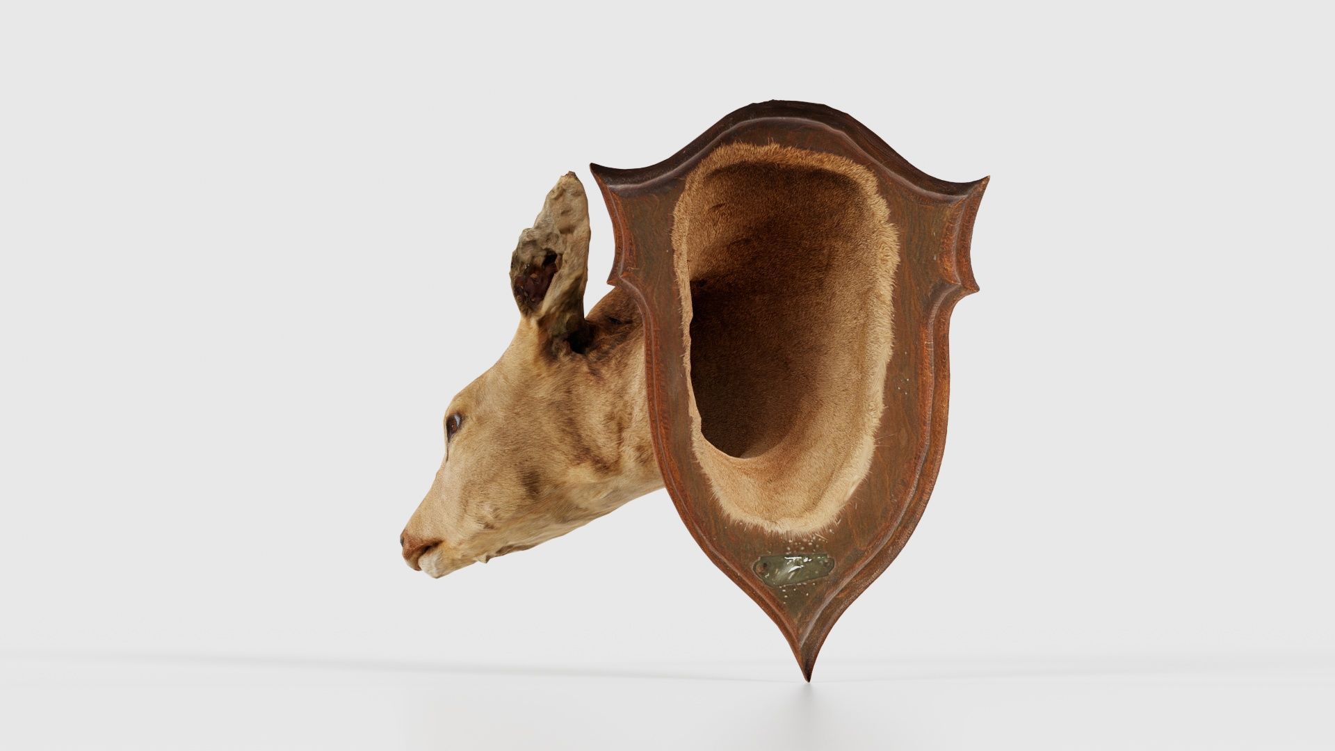 Deer Head Low-poly 3D model_23