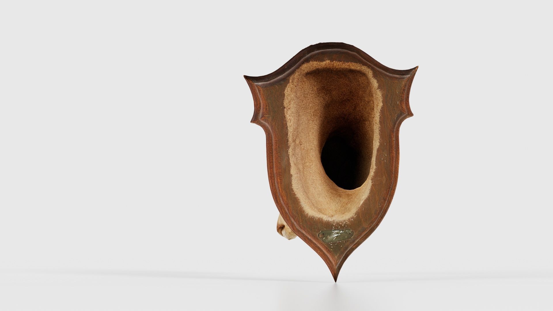 Deer Head Low-poly 3D model_22