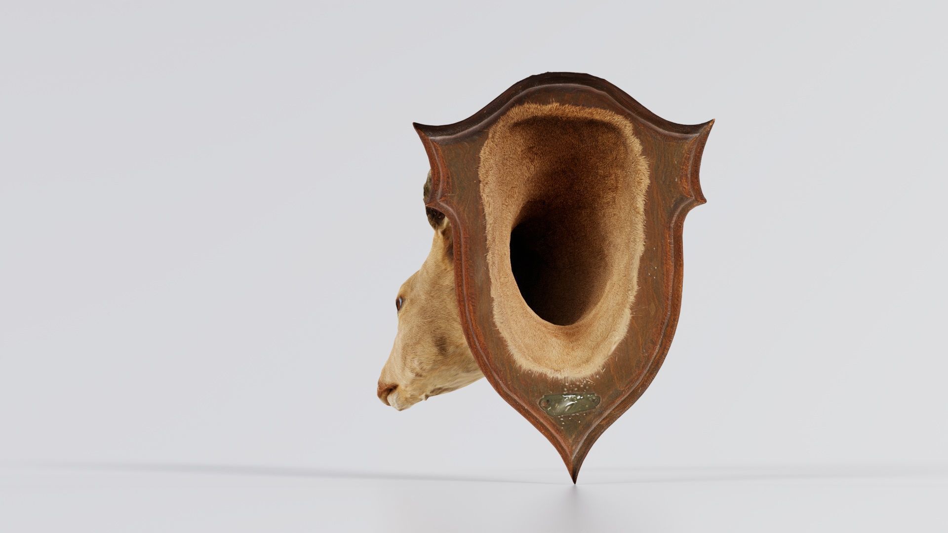 Deer Head Low-poly 3D model_8