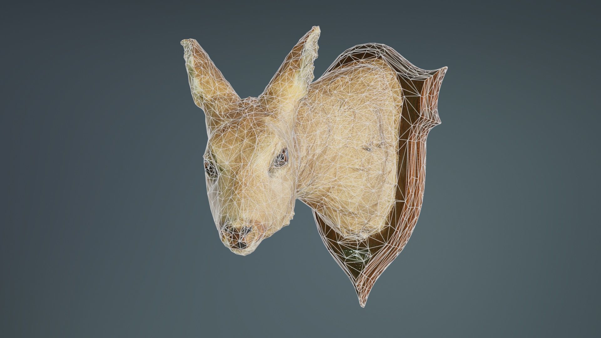 Deer Head Low-poly 3D model_9