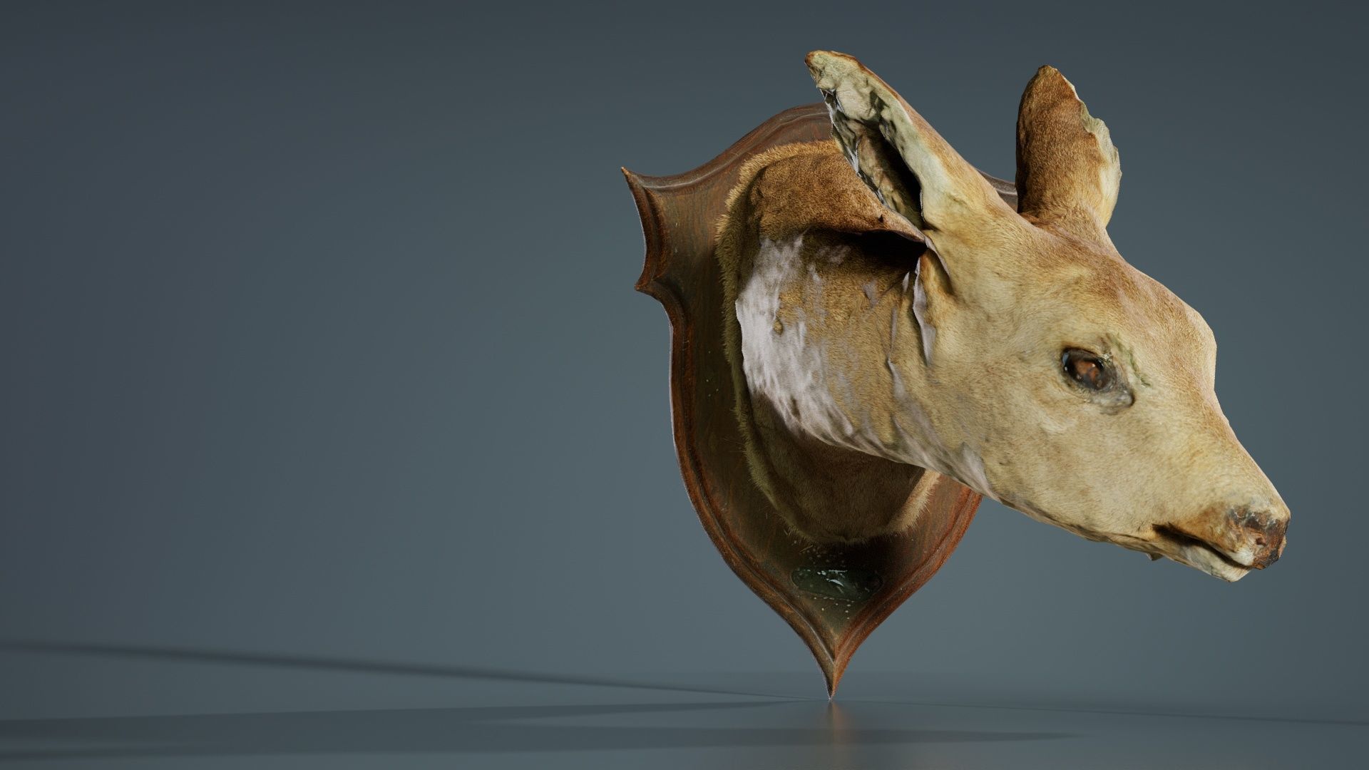 Deer Head Low-poly 3D model_2