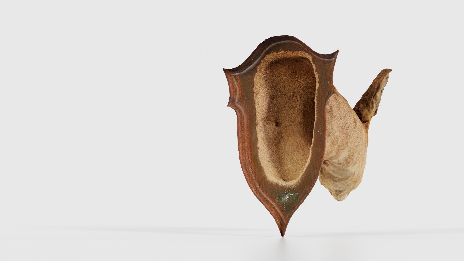 Deer Head Low-poly 3D model_21