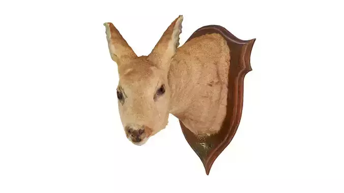 Deer Head Low-poly 3D model