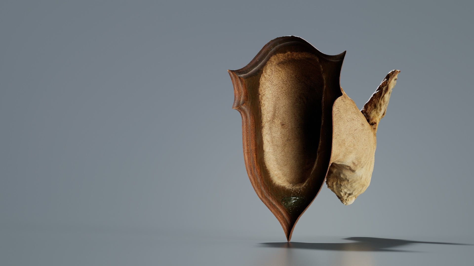 Deer Head Low-poly 3D model_4