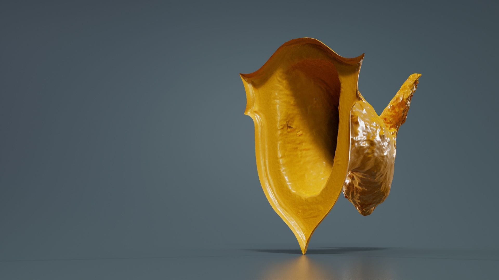 Deer Head Low-poly 3D model_13