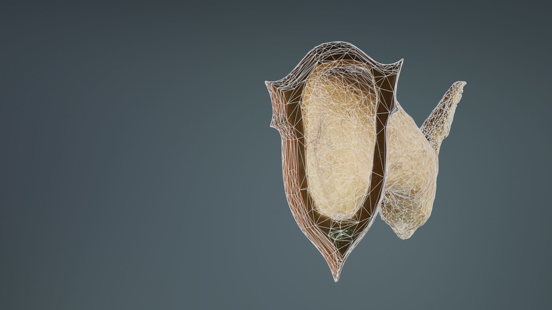 Deer Head Low-poly 3D model_10