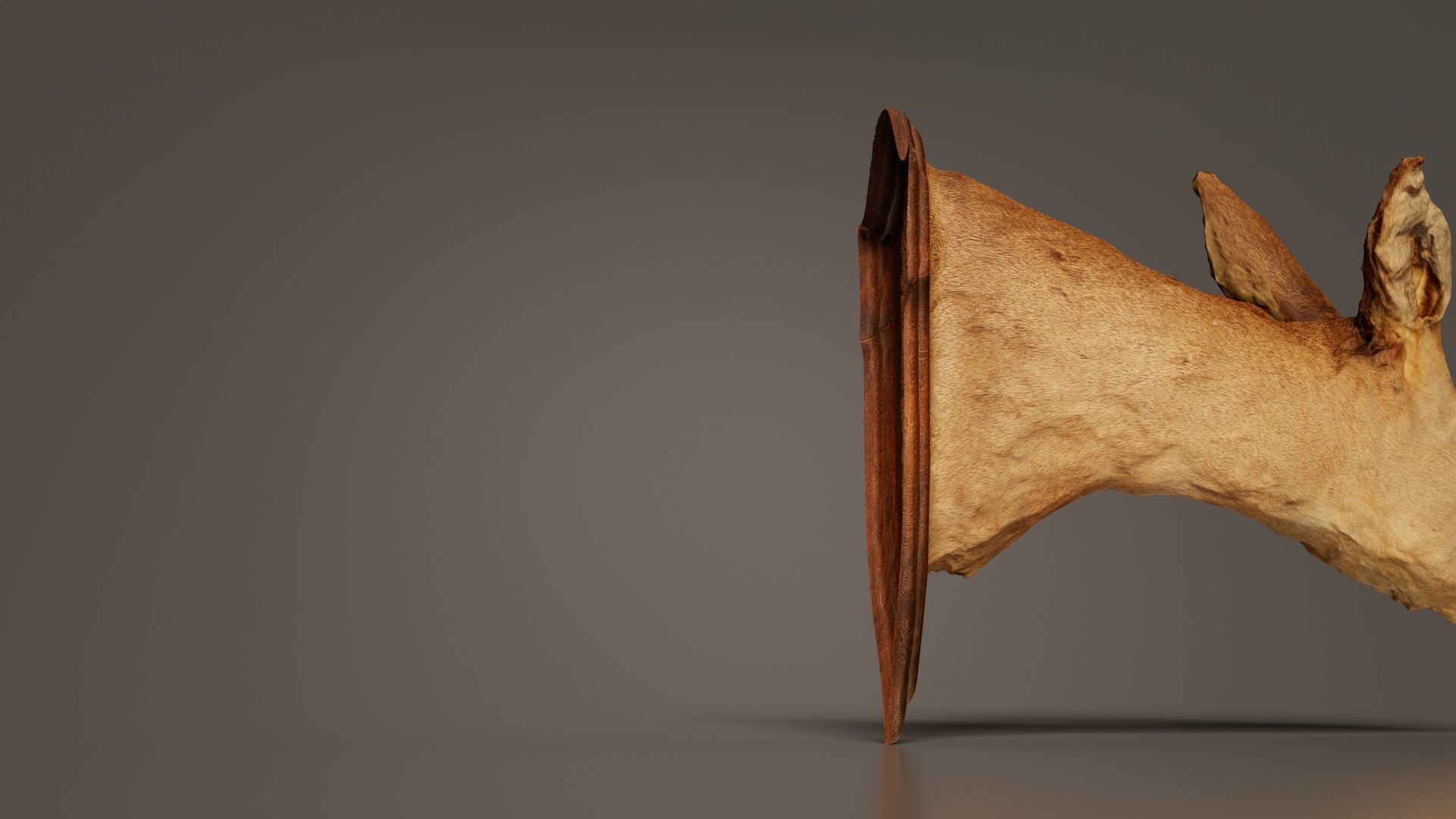 Deer Head Low-poly 3D model_3