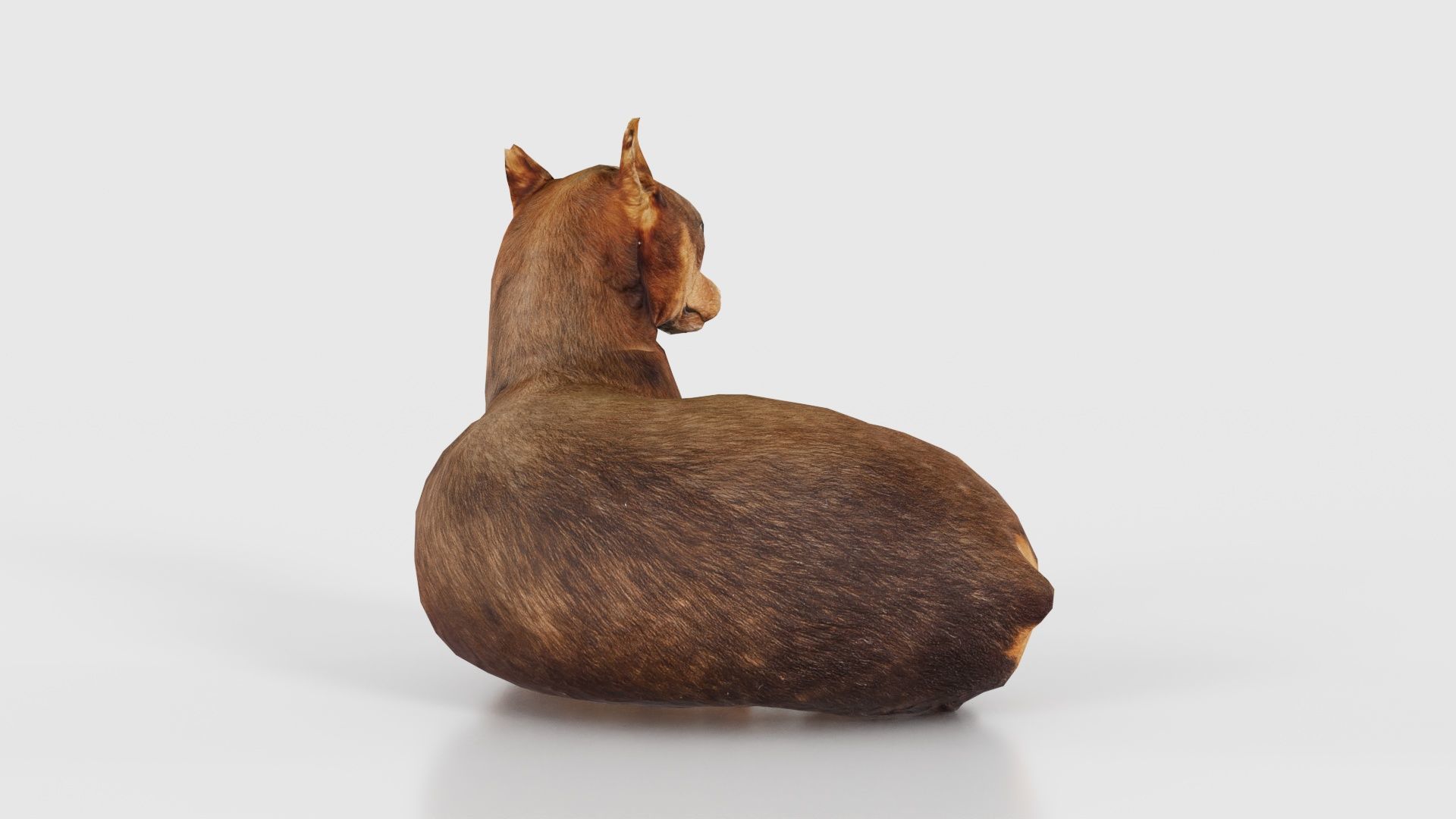 Dog Low-poly 3D model_20