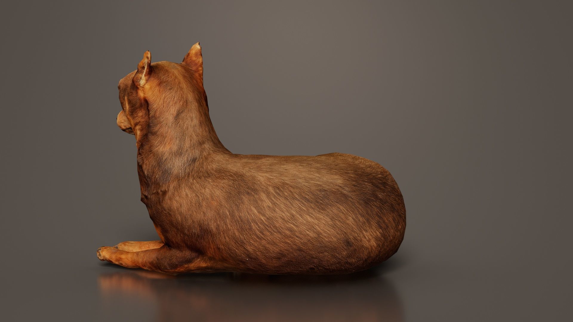 Dog Low-poly 3D model_4