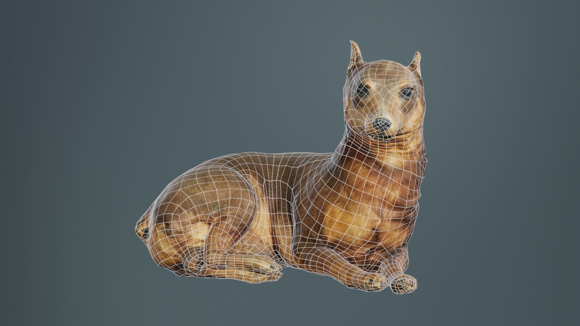 Dog Low-poly 3D model_9