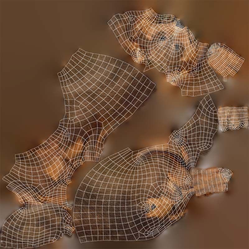 Dog Low-poly 3D model_14