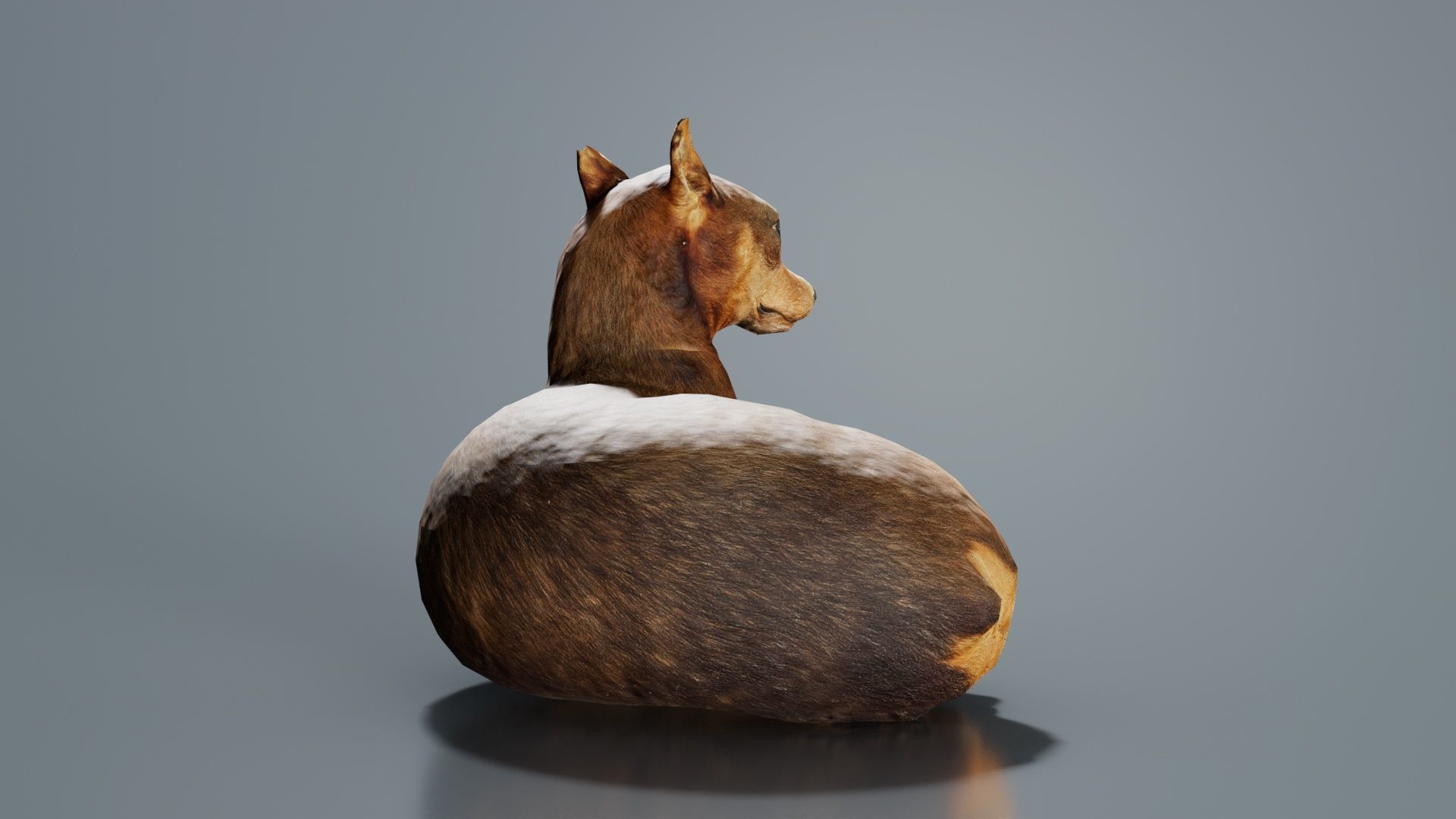 Dog Low-poly 3D model_6