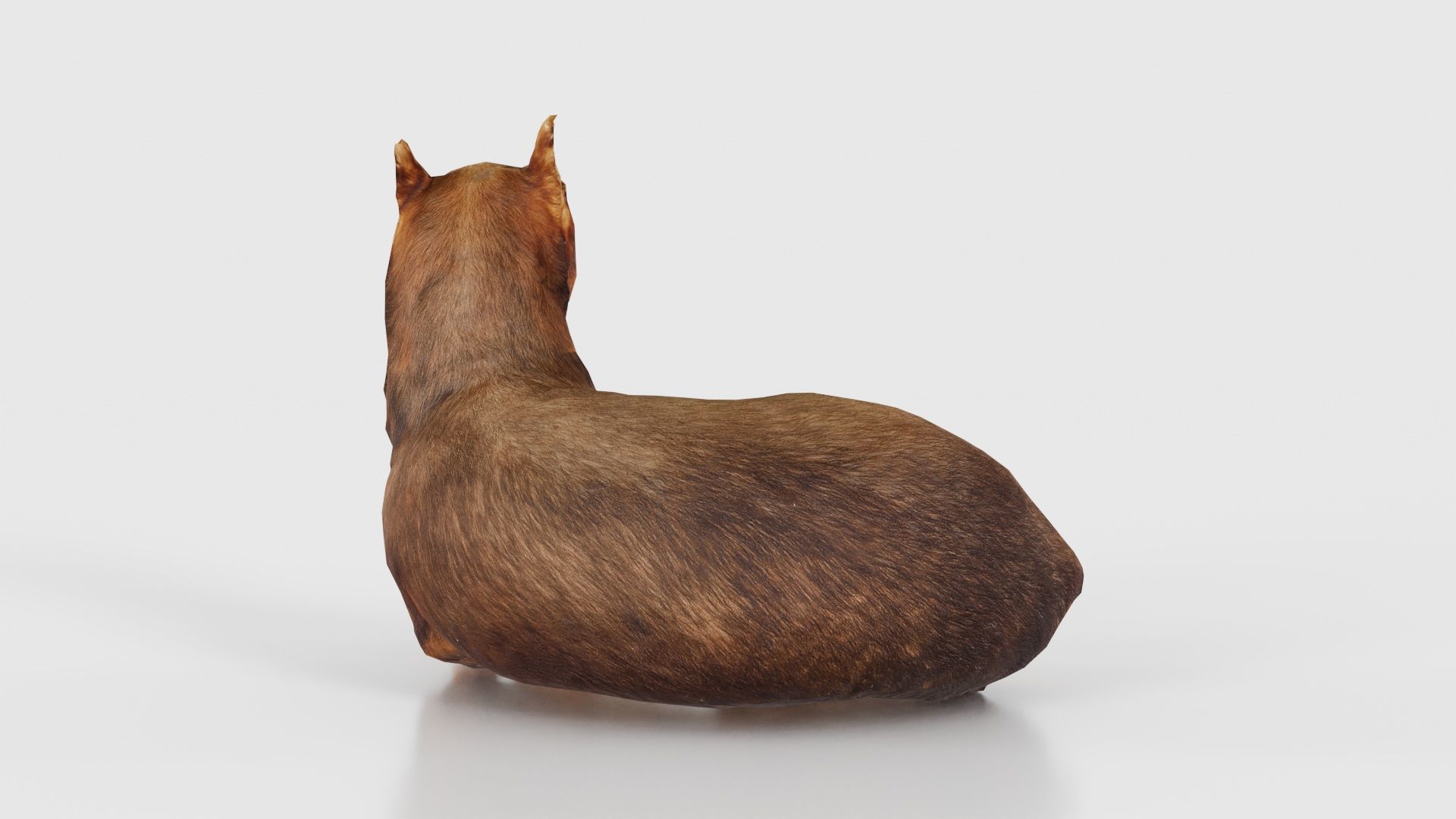 Dog Low-poly 3D model_21