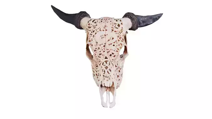 Dragon Decorated Skull Low-poly 3D model