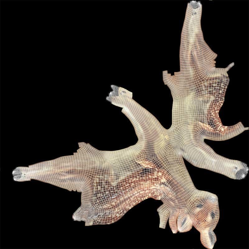 Fawn Low-poly 3D model_14