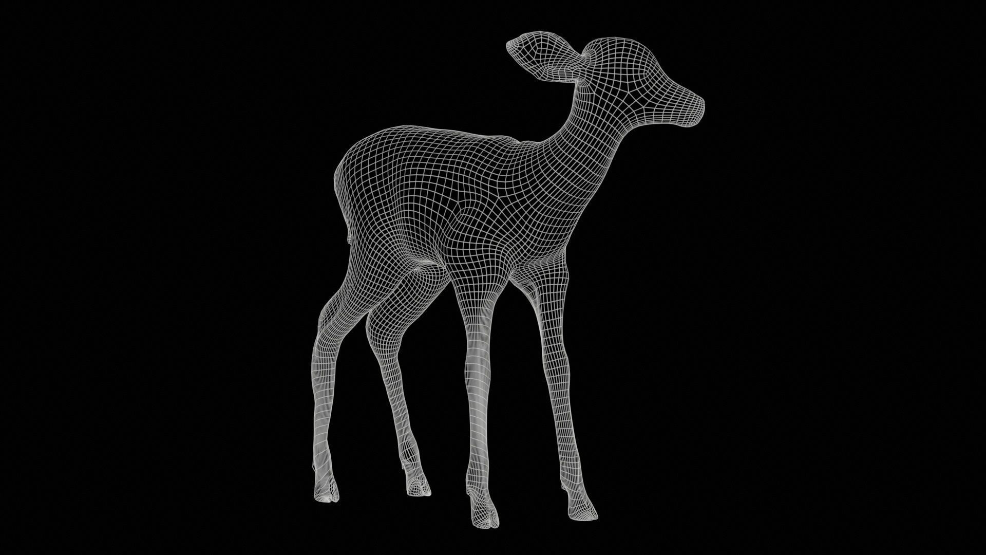 Fawn Low-poly 3D model_11