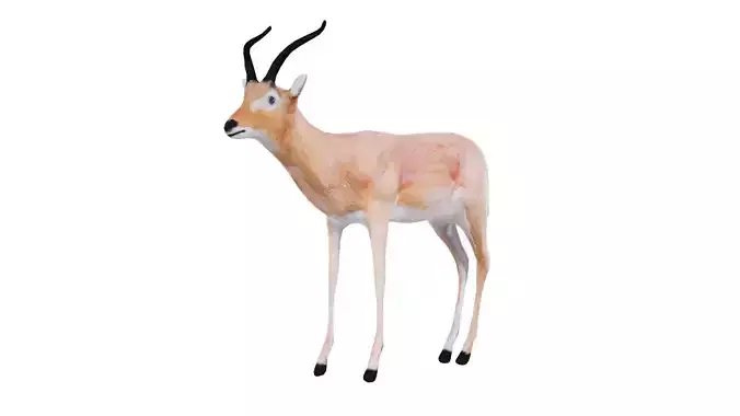 Impala Low-poly 3D model