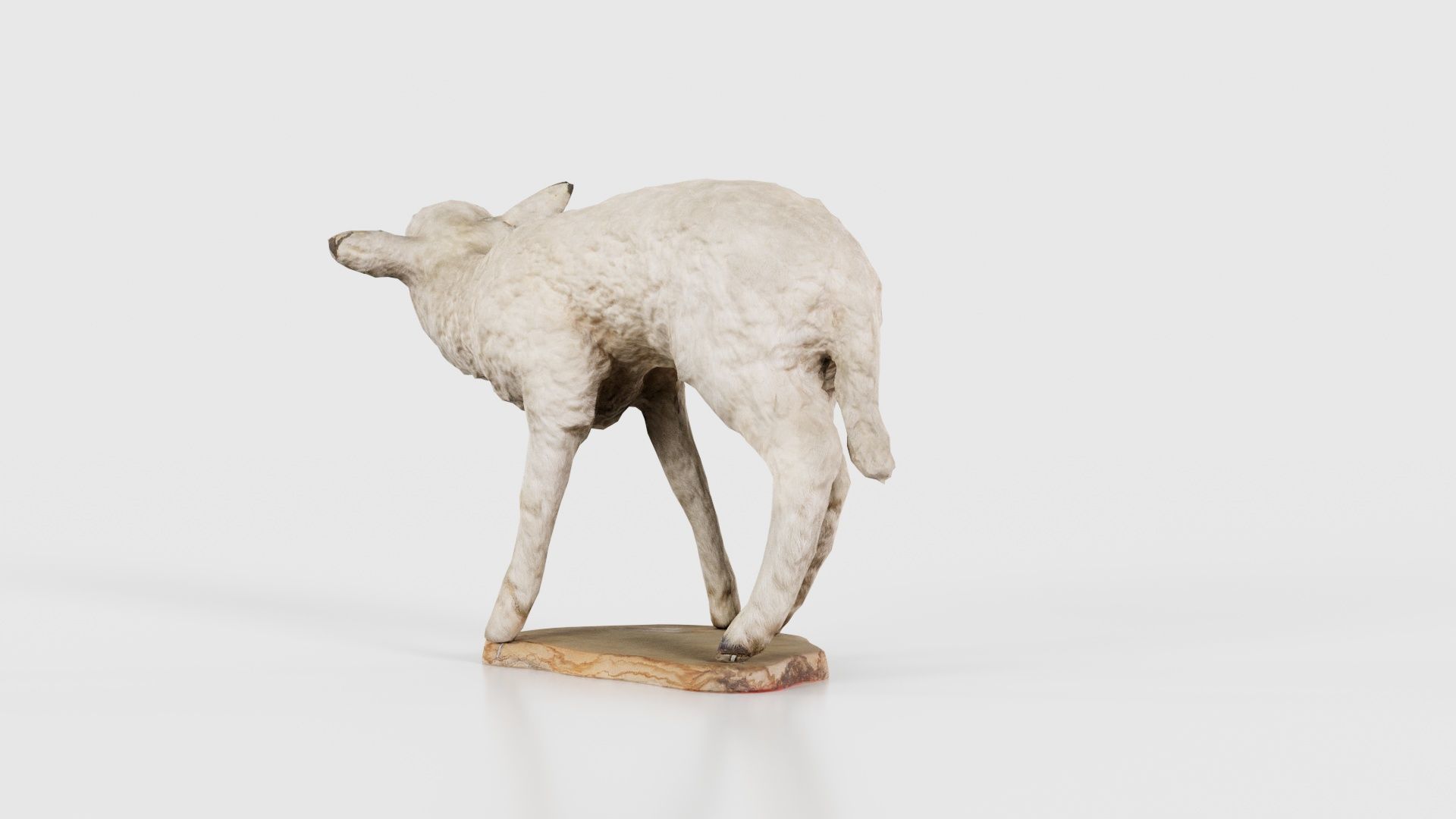 Lamb Mutton Low-poly 3D model_20
