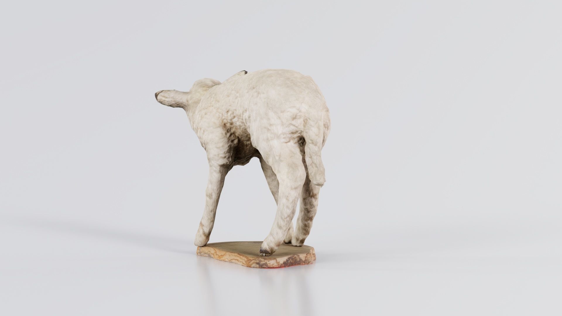 Lamb Mutton Low-poly 3D model_8